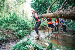 BIB: 
                            <button type="button" onclick="openModal(25515175)" class="btn btn-primary btn-sm float-right btn-popup" data-toggle="modal" data-target=".modal-high-quality">
                        <i class="fas fa-shopping-cart"></i> Add to Cart
                    </button>
                                            <button type="button" onclick="isThisMe(25515175, true)" class="btn btn-success btn-sm float-right btn-popup btn-isme hidden" data-toggle="tooltip" data-placement="bottom" title="นี่คือรูปของคุณใช่ไหม คลิกที่นี่เพื่อเอาเข้าอัลบั้ม">
                        <i class="fas fa-plus"></i> Add to album
                    </button>
                    <button type="button" onclick="isThisMe(25515175, false)" class="btn btn-warning btn-sm float-right btn-popup btn-isnotme hidden">
                        <i class="fas fa-ban"></i> Remove from album
                    </button>